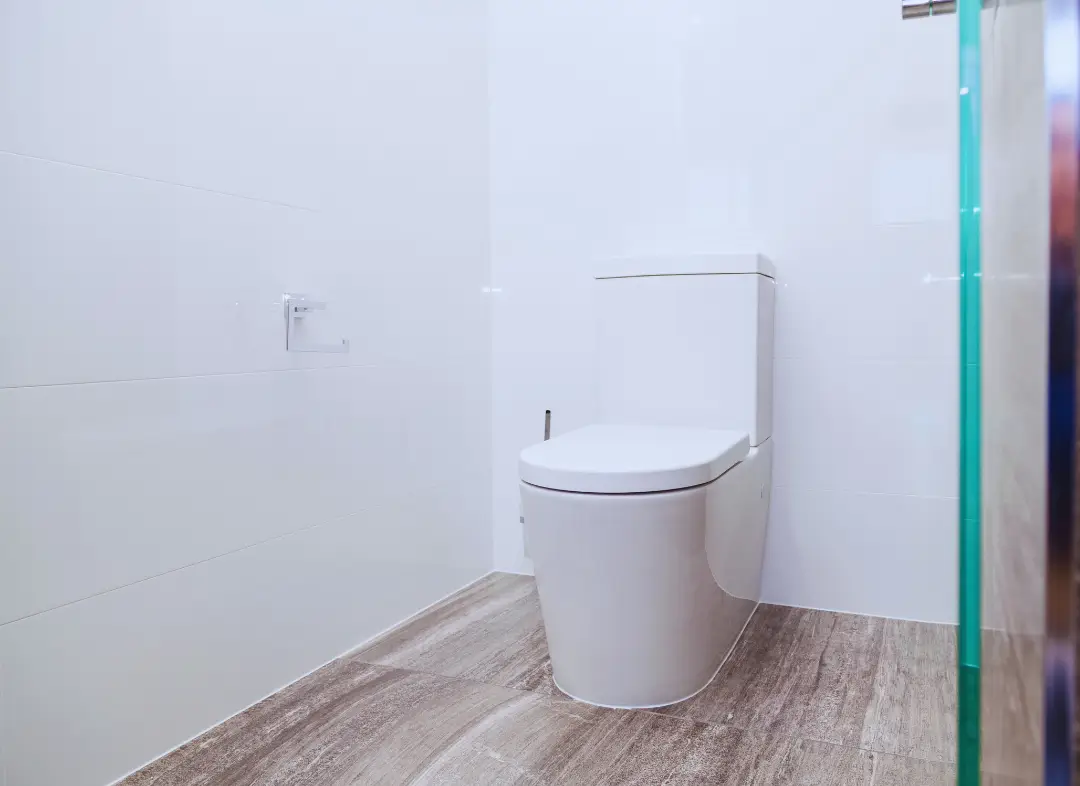 Remplacement de wc Le Bourget-du-Lac